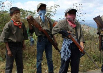 Causa en Común 200 asesinatos de menores