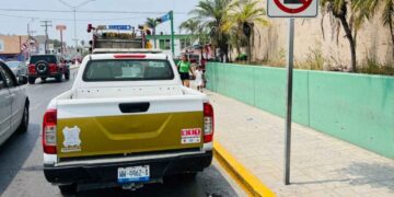 Adulto mayor sufre ataque de un perro en Matamoros