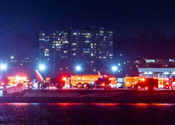 19 cuerpos American Airlines