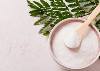 Alimentos ricos en colágeno