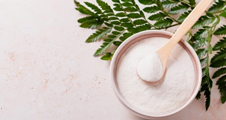 Alimentos ricos en colágeno