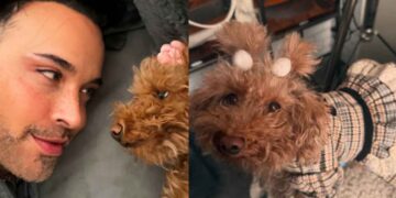 Apio celebra cumpleaños perrita
