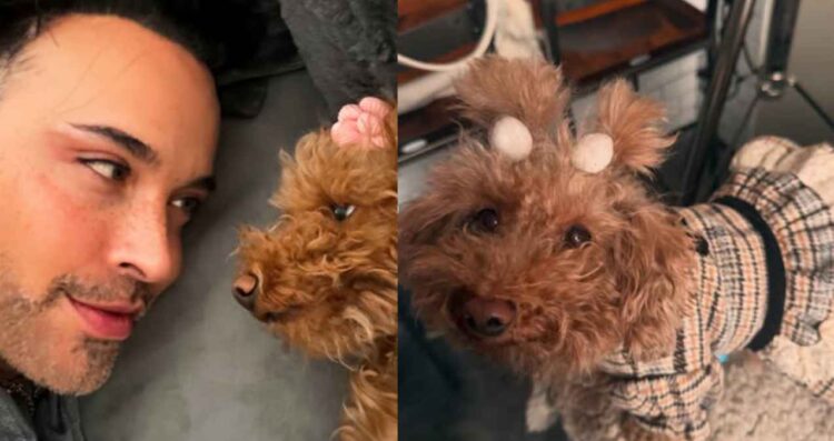 Apio celebra cumpleaños perrita