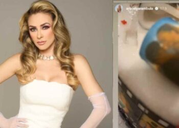 Aracely Arámbula celebra los 18 años de su hijo Miguel Gallego