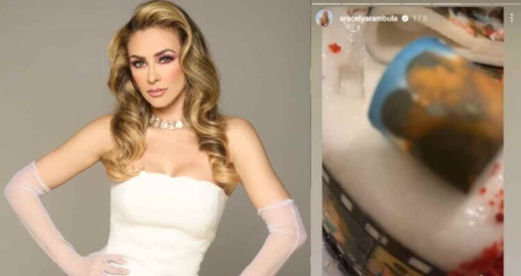 Aracely Arámbula celebra los 18 años de su hijo Miguel Gallego