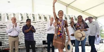 Sheinbaum fertilizantes