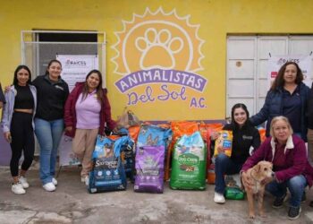Asociaciones animalistas en Tamaulipas hacen un llamado urgente a la solidaridad