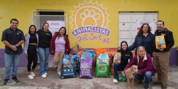 Asociaciones animalistas en Tamaulipas hacen un llamado urgente a la solidaridad