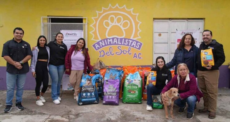 Asociaciones animalistas en Tamaulipas hacen un llamado urgente a la solidaridad