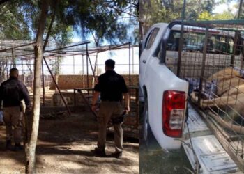 operativo en Acatic Jalisco