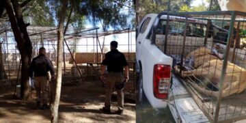 operativo en Acatic Jalisco