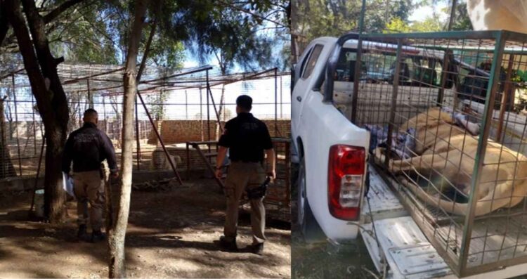 operativo en Acatic Jalisco