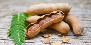 Beneficios del tamarindo para la digestión