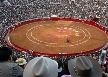 CDMX admite iniciativa ciudadana para prohibir corridas de toros