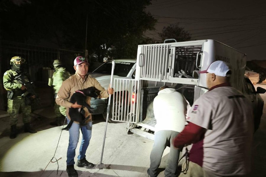 muerte "Lomito" Reynosa