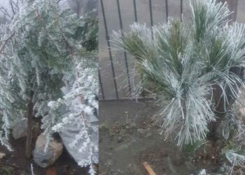 Cierran temporalmente la Carretera a la Sierra de Santiago, Nuevo León, debido a la presencia de hielo