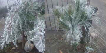 Cierran temporalmente la Carretera a la Sierra de Santiago, Nuevo León, debido a la presencia de hielo