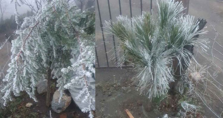 Cierran temporalmente la Carretera a la Sierra de Santiago, Nuevo León, debido a la presencia de hielo