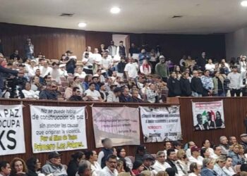 ciudadanos Sinaloa congreso
