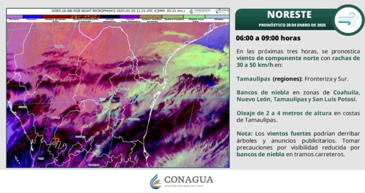 Clima en Tamaulipas HOY lunes 20 de enero: ¿Cómo afectarán las bajas temperaturas?