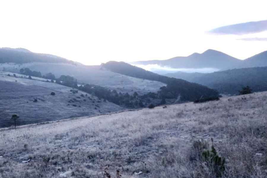 Comunidades de Galeana, Nuevo León, amanecen cubiertas de hielo por bajas temperaturas