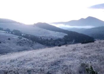 Comunidades de Galeana, Nuevo León, amanecen cubiertas de hielo por bajas temperaturas