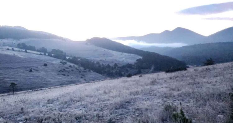 Comunidades de Galeana, Nuevo León, amanecen cubiertas de hielo por bajas temperaturas