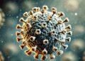 Confirman en Veracruz el primer caso de metapneumovirus humano