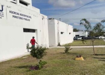 Denuncian atropello intencional de perritos en Matamoros ante la Fiscalía