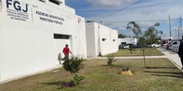 Denuncian atropello intencional de perritos en Matamoros ante la Fiscalía