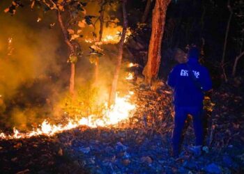 Desplome de avioneta en La Yesca, Nayarit deja 6 muertos: SSYPC