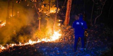 Desplome de avioneta en La Yesca, Nayarit deja 6 muertos: SSYPC