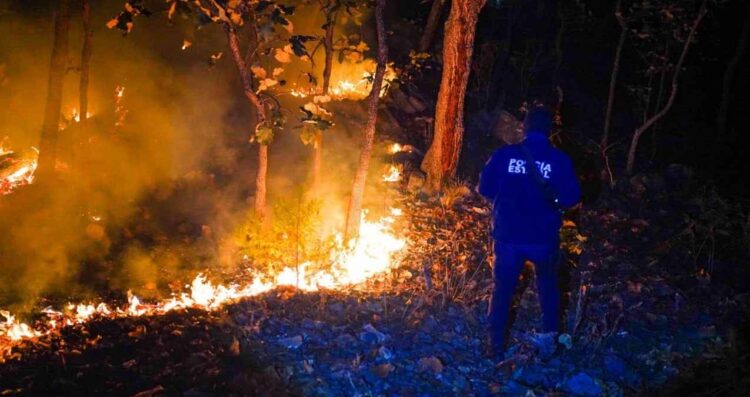 Desplome de avioneta en La Yesca, Nayarit deja 6 muertos: SSYPC