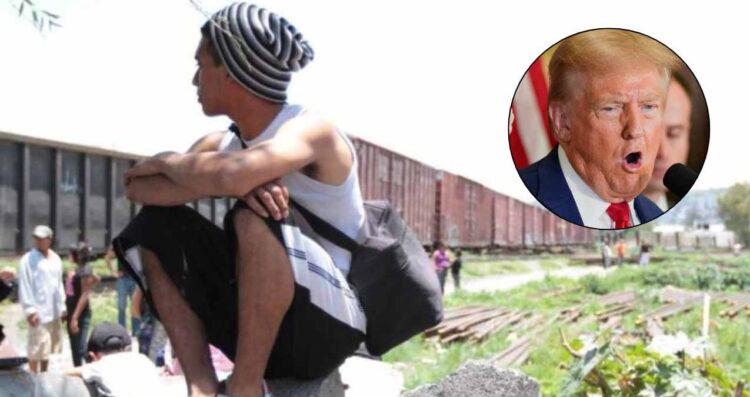 Donald Trump va a restablecer el programa "Quédate en México" ¿De qué se trata?