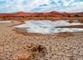 falta de agua México WEF