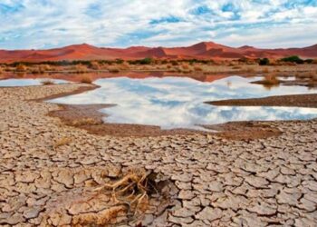 falta de agua México WEF