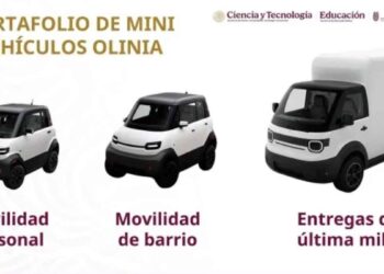 Planta de Olinia