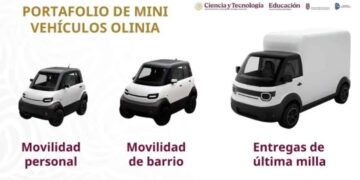 Planta de Olinia