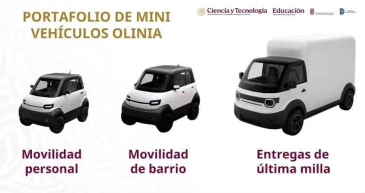 Planta de Olinia