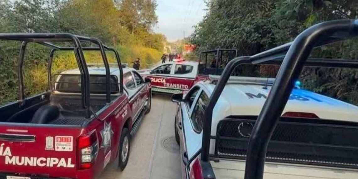 Encuentran cuerpo de recién nacida en San Juan Xiutetelco, Puebla 