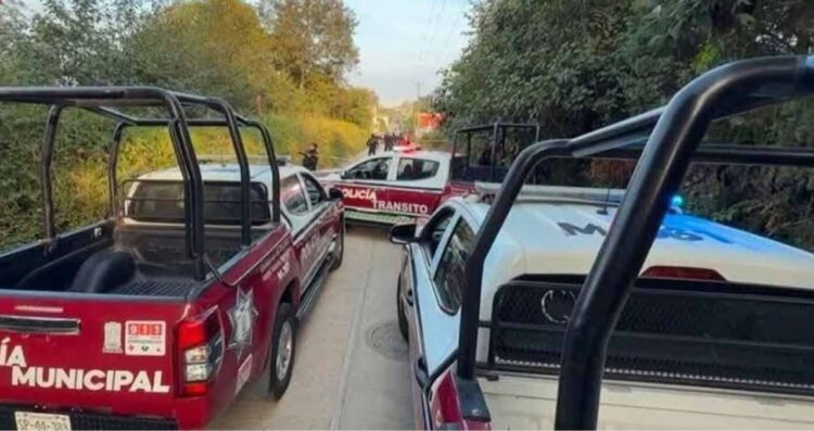 Encuentran cuerpo de recién nacida en San Juan Xiutetelco, Puebla 