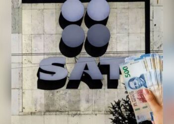 Estos son los ingresos libres de impuestos en el SAT 2025