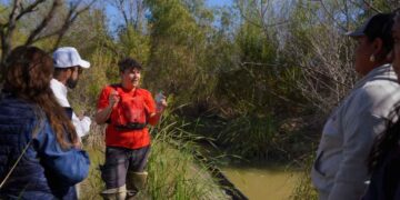 Fortalece Nuevo Laredo acciones de saneamiento del río Bravo; es primer municipio en Tamaulipas con sistema para detener residuos sólidos