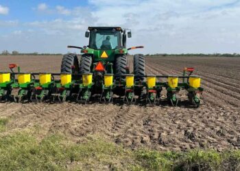 Frente Frío 24 afecta cultivos en el norte de Tamaulipas
