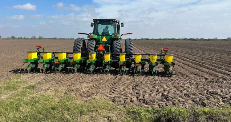 Frente Frío 24 afecta cultivos en el norte de Tamaulipas