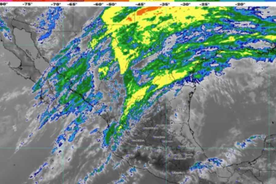 Frío México 29 enero (1)
