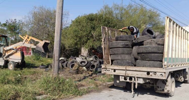 Gobierno Matamoros impulsa limpieza