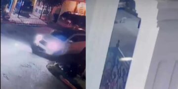 Gobierno de Matamoros denunciará maltrato animal tras muerte intencional de dos perros