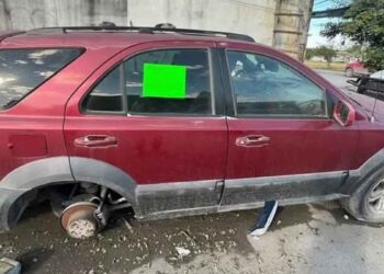 Ayuntamiento de Matamoros inicia descacharrización