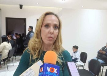 IETAM reglamento elección judicial